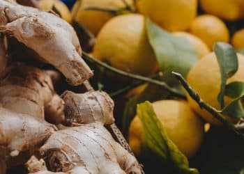 Antioxidants & Extraction