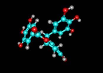Recovering Polyphenolic Compounds During Extraction