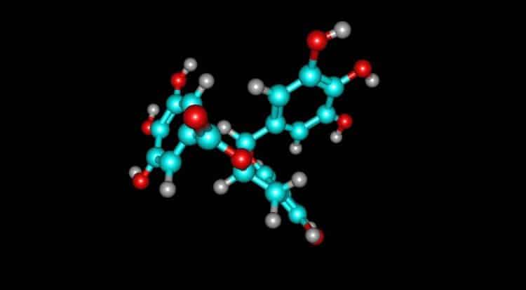 Recovering Polyphenolic Compounds During Extraction