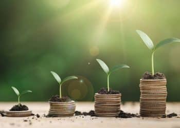 Crack the Code on Extract Marketing