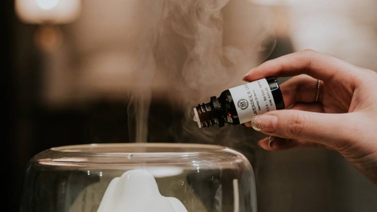 Why Steam Distillation is Ideal for Herbal Extraction