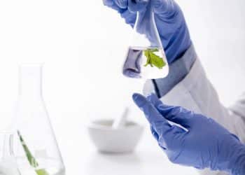 Science-based Protocols for Phytochemical Extraction