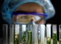 The Effects of Solvent pH on Botanical Extraction
