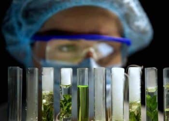 The Effects of Solvent pH on Botanical Extraction