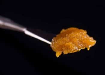 Why Live Resin is the Best Thing to happen to Delta-8