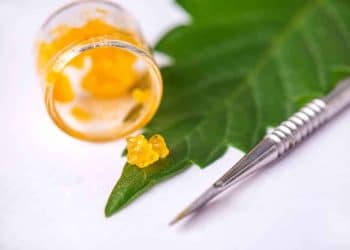 What Is The Difference Between  Live Resin And Cured Resin?