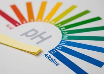 pH and Its Effects on Phytochemical Stability