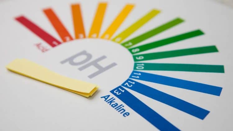 pH and Its Effects on Phytochemical Stability