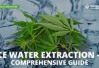 Cannabis ice water extraction method
