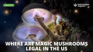 magic mushrooms and where are they legal in us