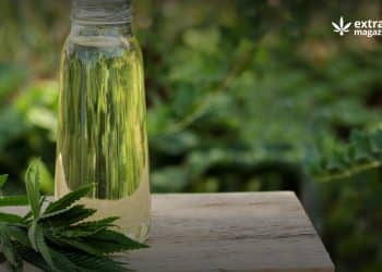 Advantages and Challenges of Hemp Biodiesel