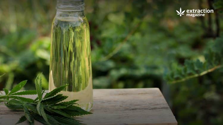 Advantages and Challenges of Hemp Biodiesel