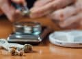 Can You Smoke Magic Mushrooms?