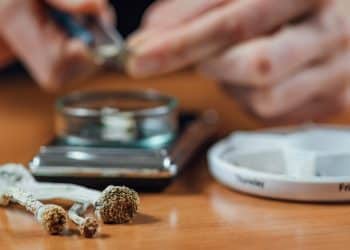 Can You Smoke Magic Mushrooms?