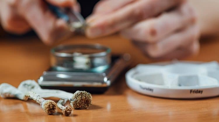 Can You Smoke Magic Mushrooms?