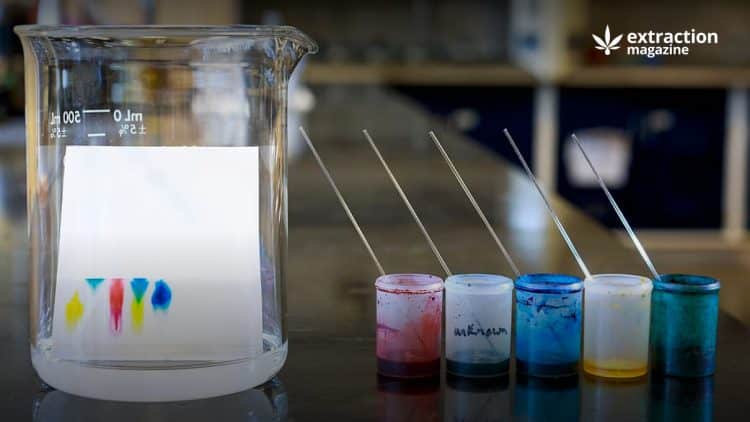 Cannabis Color Remediation with Chromatography