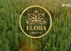Cannabis Powerhouse Flora Growth Announces Acquisition Of Franchise Global Health