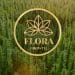 Cannabis Powerhouse Flora Growth Announces Acquisition Of Franchise Global Health
