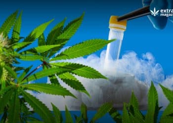 Cryopreservation in Cannabis Plants for Breeding