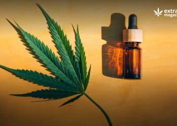 Essential Oils and Their Use in Aromatherapy