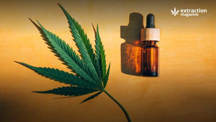 Essential Oils and Their Use in Aromatherapy