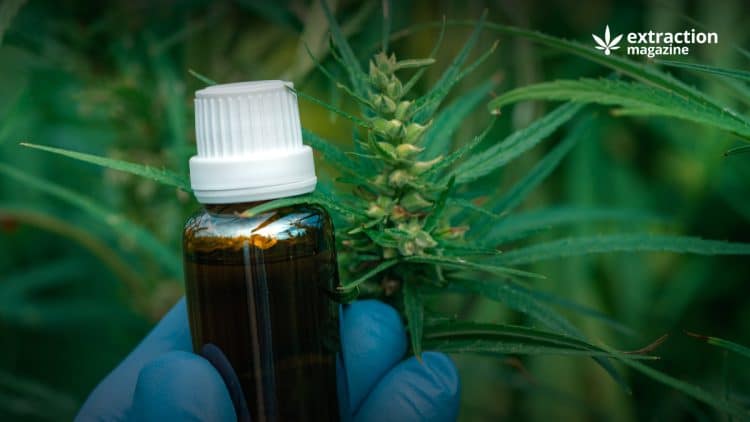 How Cannabis Essential Oil Could Affect The Brain