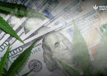 How Damaging The “Extracts Are Food” Bills Can Be