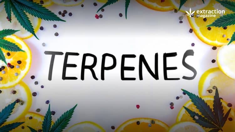 terpene extraction