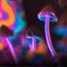 How Long Does it Take For Shrooms to Kick In?