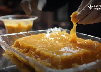 How to Make THC Wax With Everclear