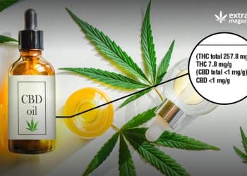 How to Read CBD Product Labels