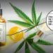 How to Read CBD Product Labels