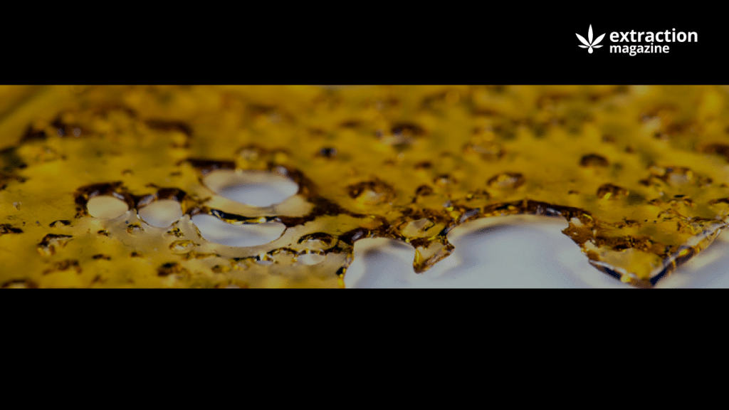 How To Make Butane Hash Oil - Extraction Magazine