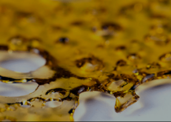 How to make butane hash oil