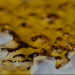How to make butane hash oil