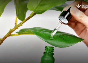 Mass Spectrometry and Plant Metabolomics