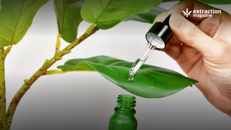 Mass Spectrometry and Plant Metabolomics