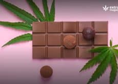 Possible Psilocybin and Sugar Interactions: Challenges To the Psychedelic Chocolate Bar Industry