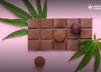 Possible Psilocybin and Sugar Interactions: Challenges To the Psychedelic Chocolate Bar Industry