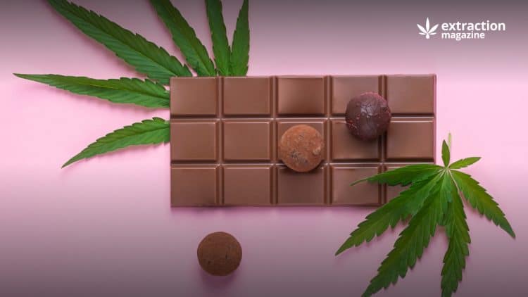 Possible Psilocybin and Sugar Interactions: Challenges To the Psychedelic Chocolate Bar Industry