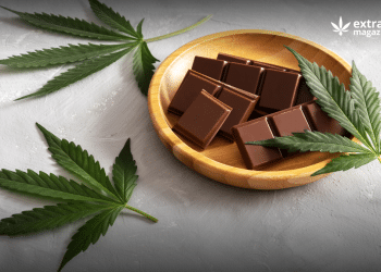 Psilocybin Chocolates: An Overview