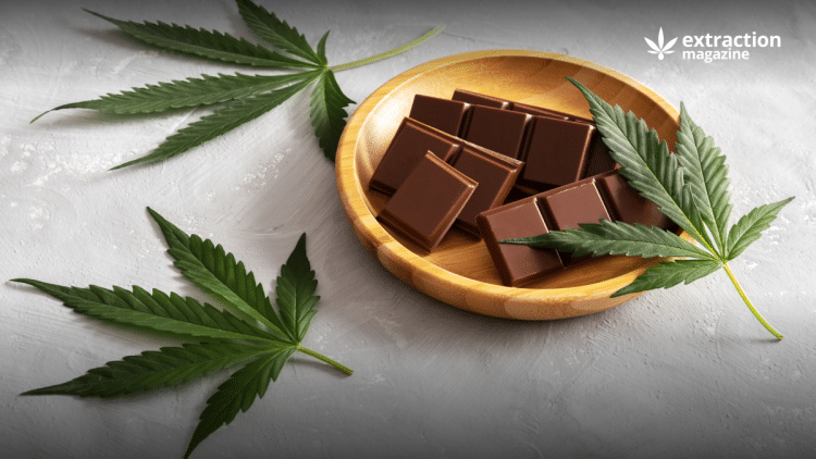 Psilocybin Chocolates: An Overview