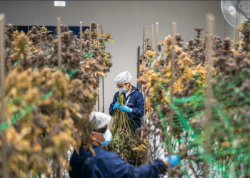 Building an FDA-Ready Extraction Facility: Design Decisions That Support Future Compliance