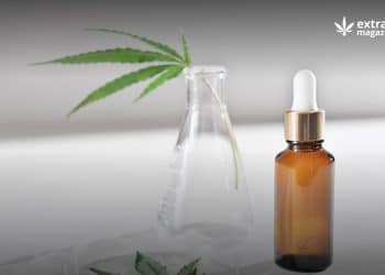 Studies on Analgesic Effects of Major Terpenes