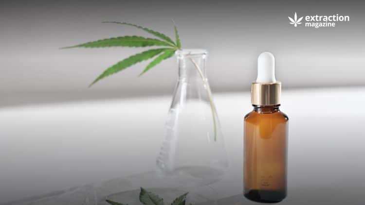 Studies on Analgesic Effects of Major Terpenes