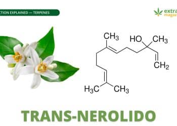Trans-nerolido