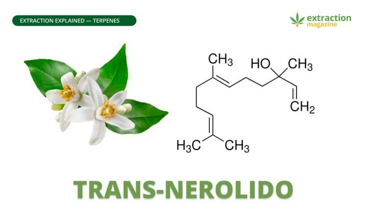 Trans-nerolido
