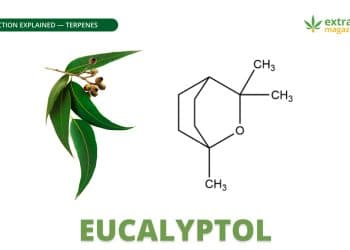 Eucalyptol