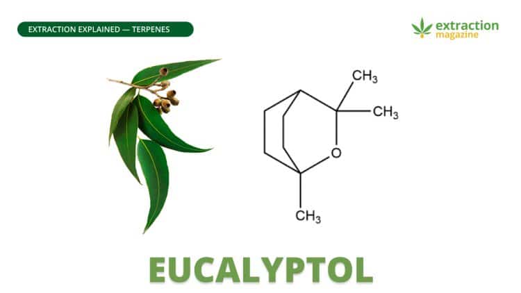Eucalyptol