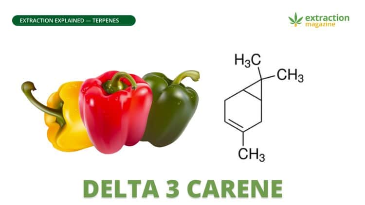 Delta 3 Carene